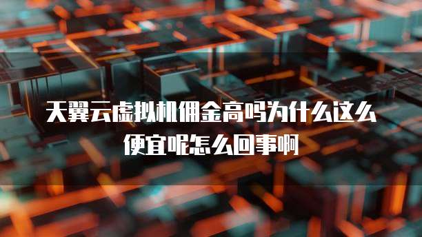 天翼云虚拟机佣金高吗为什么这么便宜呢怎么回事啊