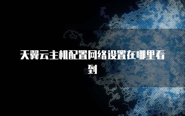 天翼云主机配置网络设置在哪里看到