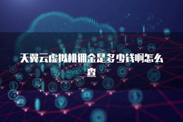 天翼云虚拟机佣金是多少钱啊怎么查