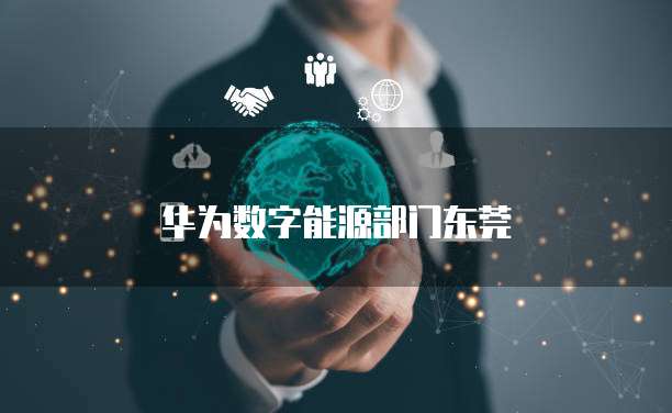 天翼云美国服务器租用情况