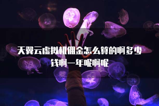 天翼云虚拟机佣金怎么算的啊多少钱啊一年呢啊呢