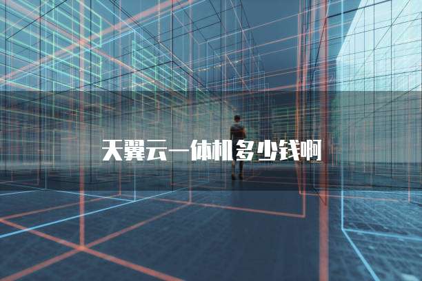 天翼云一体机多少钱啊