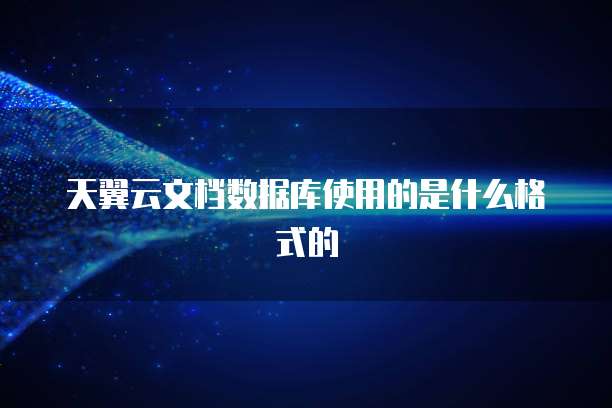 天翼云文档数据库使用的是什么格式的