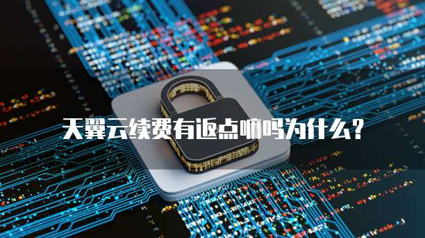天翼云续费有返点嘛吗为什么?