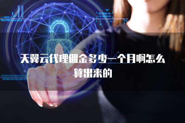 天翼云代理佣金多少一个月啊怎么算出来的