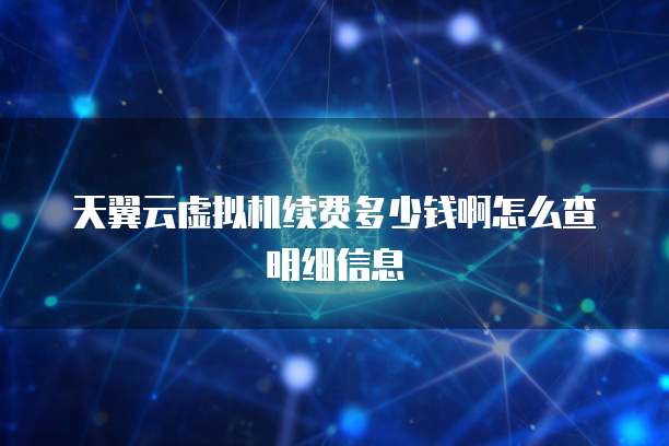 天翼云虚拟机续费多少钱啊怎么查明细信息