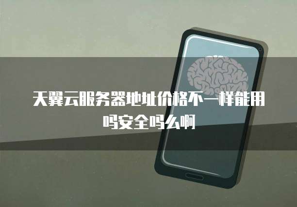 天翼云服务器地址价格不一样能用吗安全吗么啊