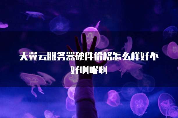 天翼云服务器硬件价格怎么样好不好啊呢啊