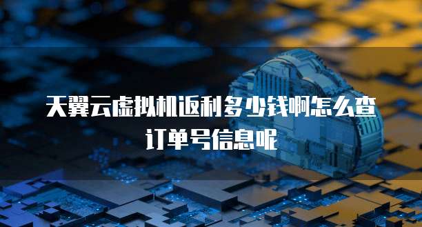 天翼云虚拟机返利多少钱啊怎么查订单号信息呢