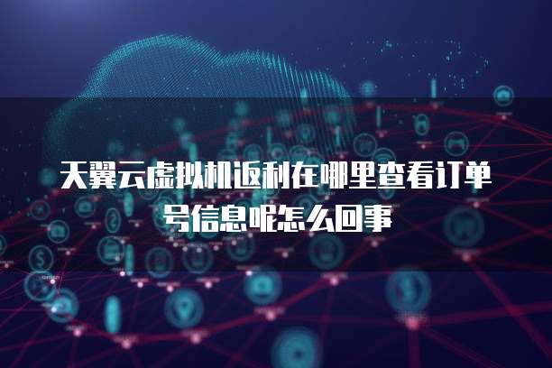 天翼云虚拟机返利在哪里查看订单号信息呢怎么回事