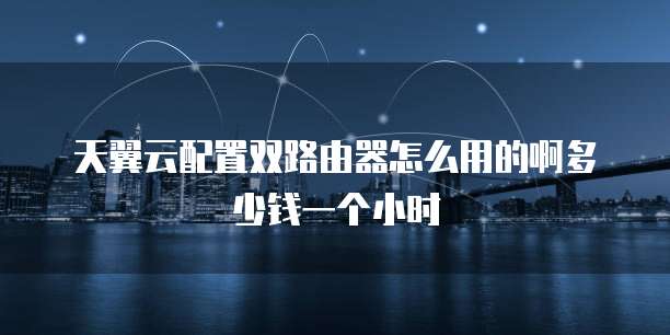 天翼云配置双路由器怎么用的啊多少钱一个小时