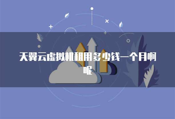 天翼云虚拟机租用多少钱一个月啊呢