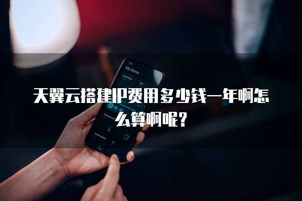 天翼云搭建IP费用多少钱一年啊怎么算啊呢？
