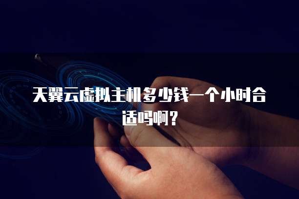 天翼云虚拟主机多少钱一个小时合适吗啊?