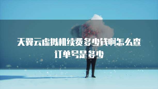 天翼云虚拟机续费多少钱啊怎么查订单号是多少