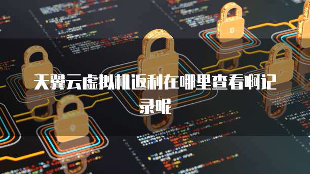天翼云虚拟机返利在哪里查看啊记录呢