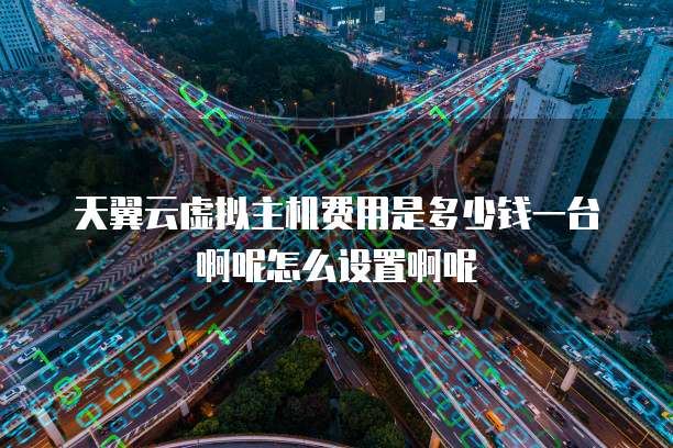 天翼云虚拟主机费用是多少钱一台啊呢怎么设置啊呢