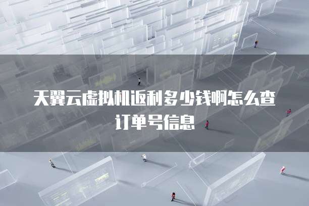 天翼云虚拟机返利多少钱啊怎么查订单号信息