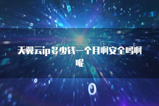 天翼云ip多少钱一个月啊安全吗啊呢