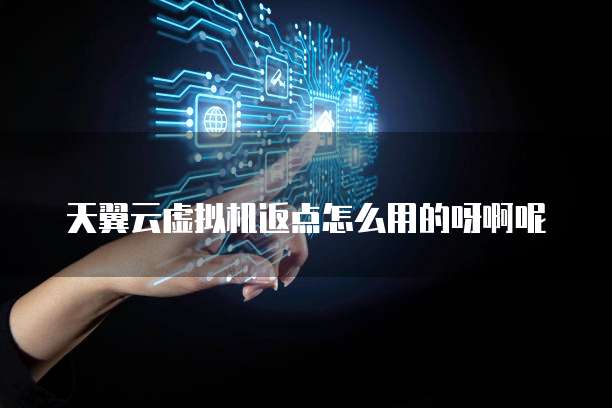 天翼云虚拟机返点怎么用的呀啊呢