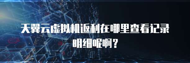 天翼云虚拟机返利在哪里查看记录明细呢啊?