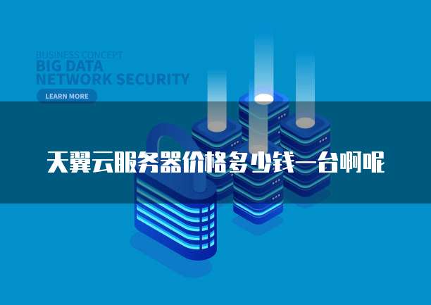 天翼云服务器价格多少钱一台啊呢