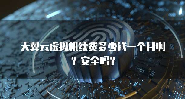 天翼云虚拟机续费多少钱一个月啊?安全吗?