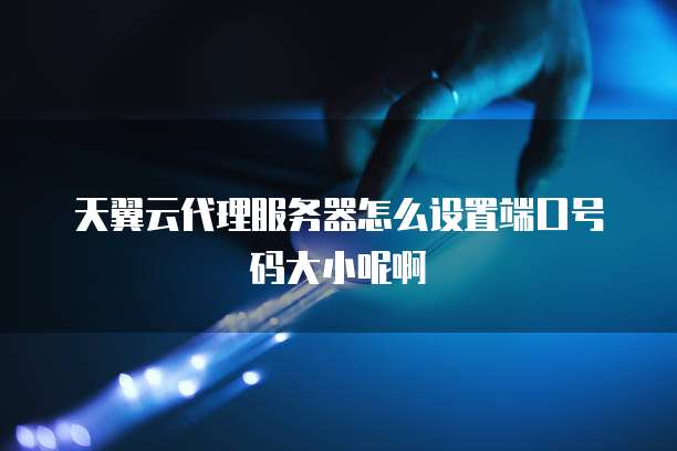 天翼云代理服务器怎么设置端口号码大小呢啊