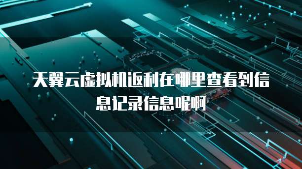 天翼云虚拟机返利在哪里查看到信息记录信息呢啊