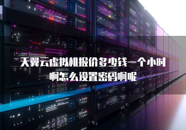 天翼云虚拟机报价多少钱一个小时啊怎么设置密码啊呢