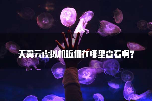 天翼云虚拟机返佣在哪里查看啊?