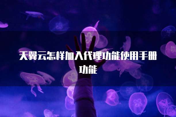 天翼云怎样加入代理功能使用手册功能