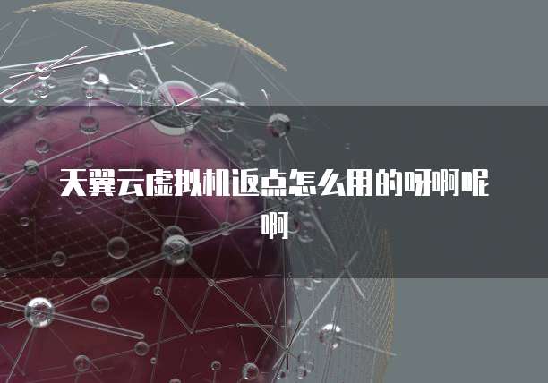 天翼云虚拟机返点怎么用的呀啊呢啊