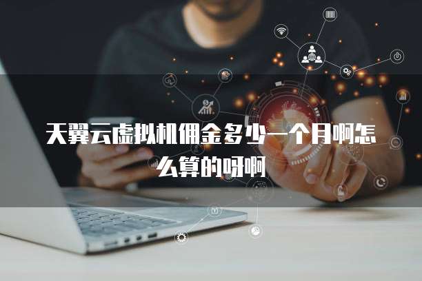 天翼云虚拟机佣金多少一个月啊怎么算的呀啊