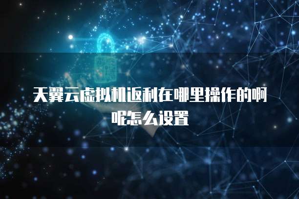 天翼云虚拟机返利在哪里操作的啊呢怎么设置