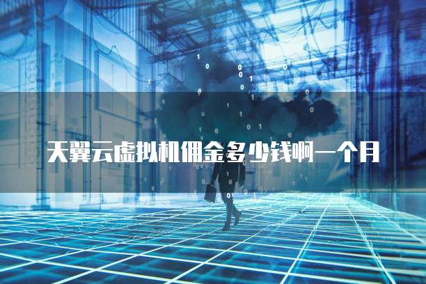 天翼云虚拟机佣金多少钱啊一个月