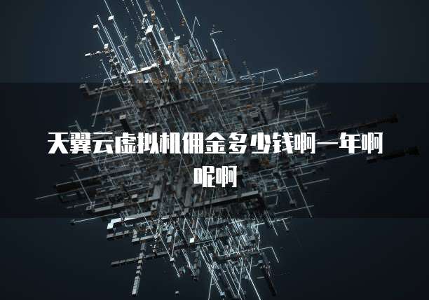 天翼云虚拟机佣金多少钱啊一年啊呢啊