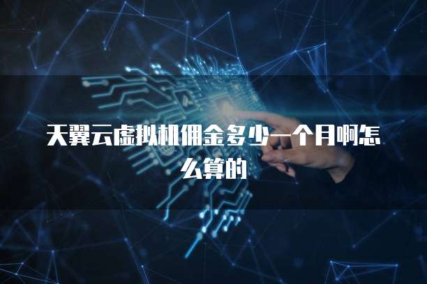 天翼云虚拟机佣金多少一个月啊怎么算的