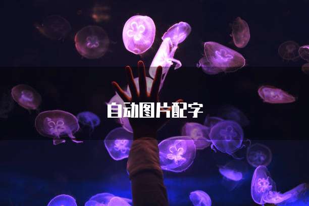 天翼云数据库的特点有哪些功能呢