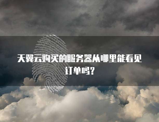 天翼云购买的服务器从哪里能看见订单吗?