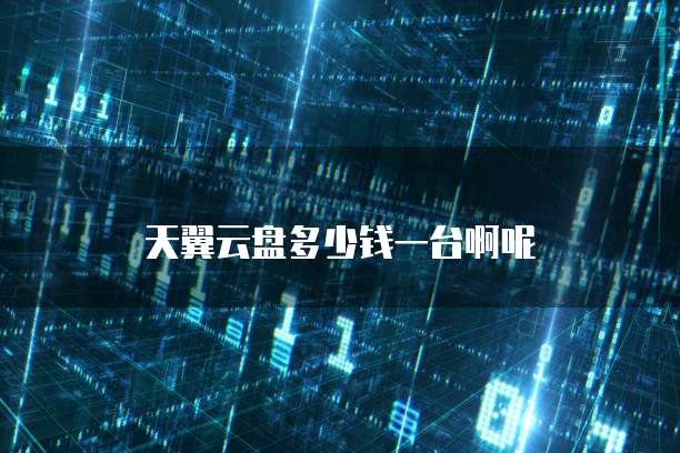 天翼云盘多少钱一台啊呢