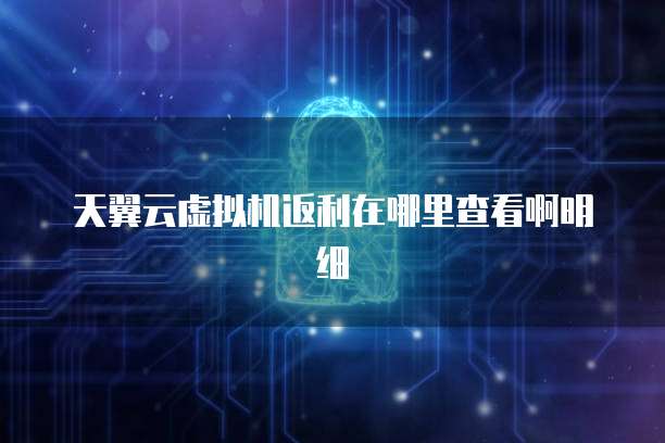 天翼云虚拟机返利在哪里查看啊明细