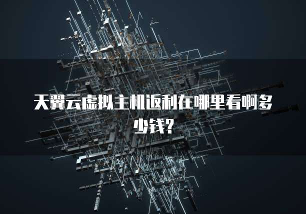 天翼云虚拟主机返利在哪里看啊多少钱?