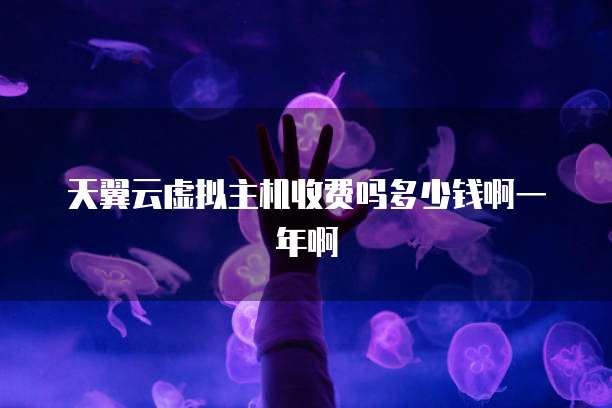 天翼云虚拟主机收费吗多少钱啊一年啊