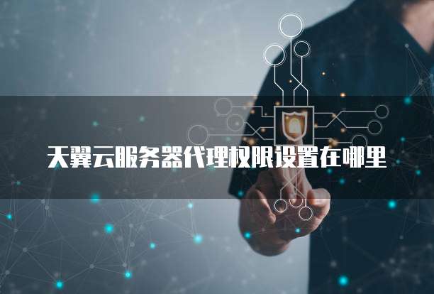 天翼云服务器代理权限设置在哪里