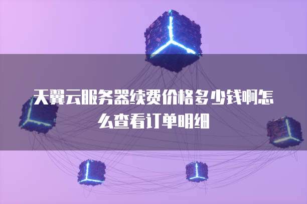 天翼云服务器续费价格多少钱啊怎么查看订单明细