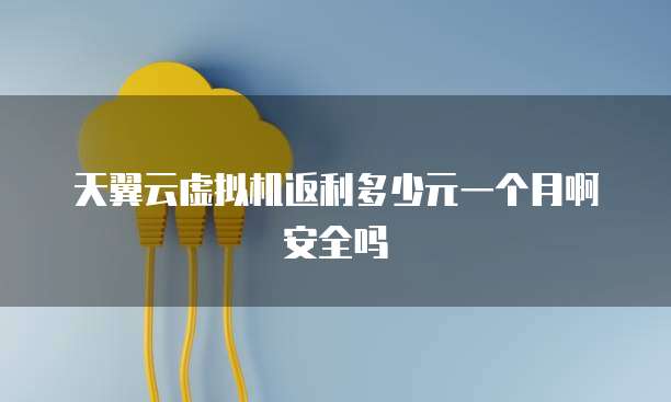 天翼云虚拟机返利多少元一个月啊安全吗