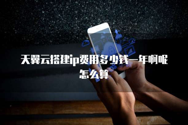 天翼云搭建ip费用多少钱一年啊呢怎么算