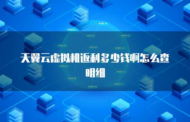 天翼云虚拟机返利多少钱啊怎么查明细