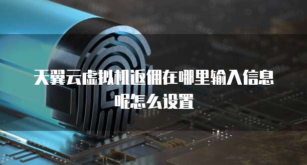 天翼云虚拟机返佣在哪里输入信息呢怎么设置